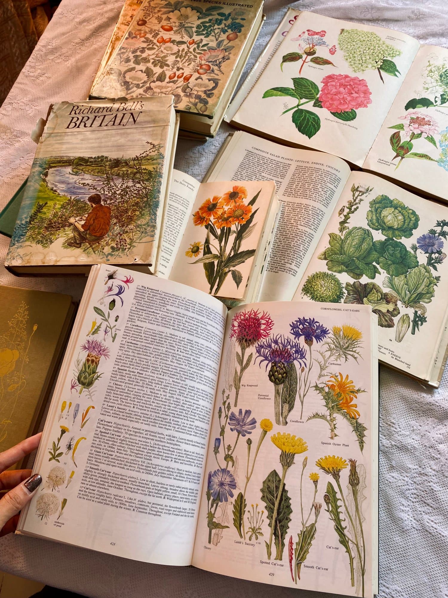 Richard Bell's Britain