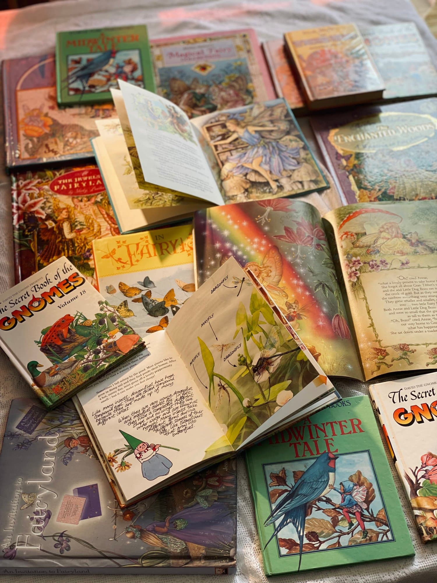 The Secret Book of Gnomes