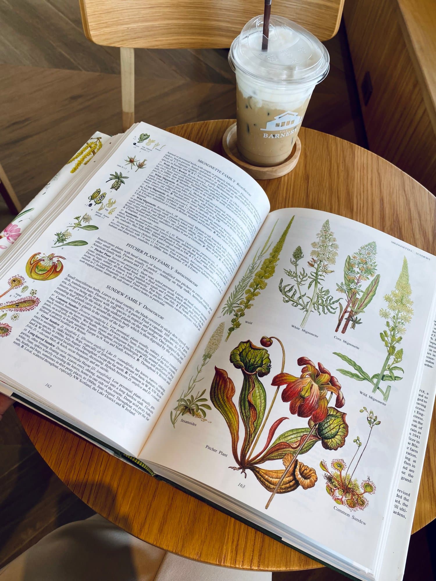 Island - Diary of a Year