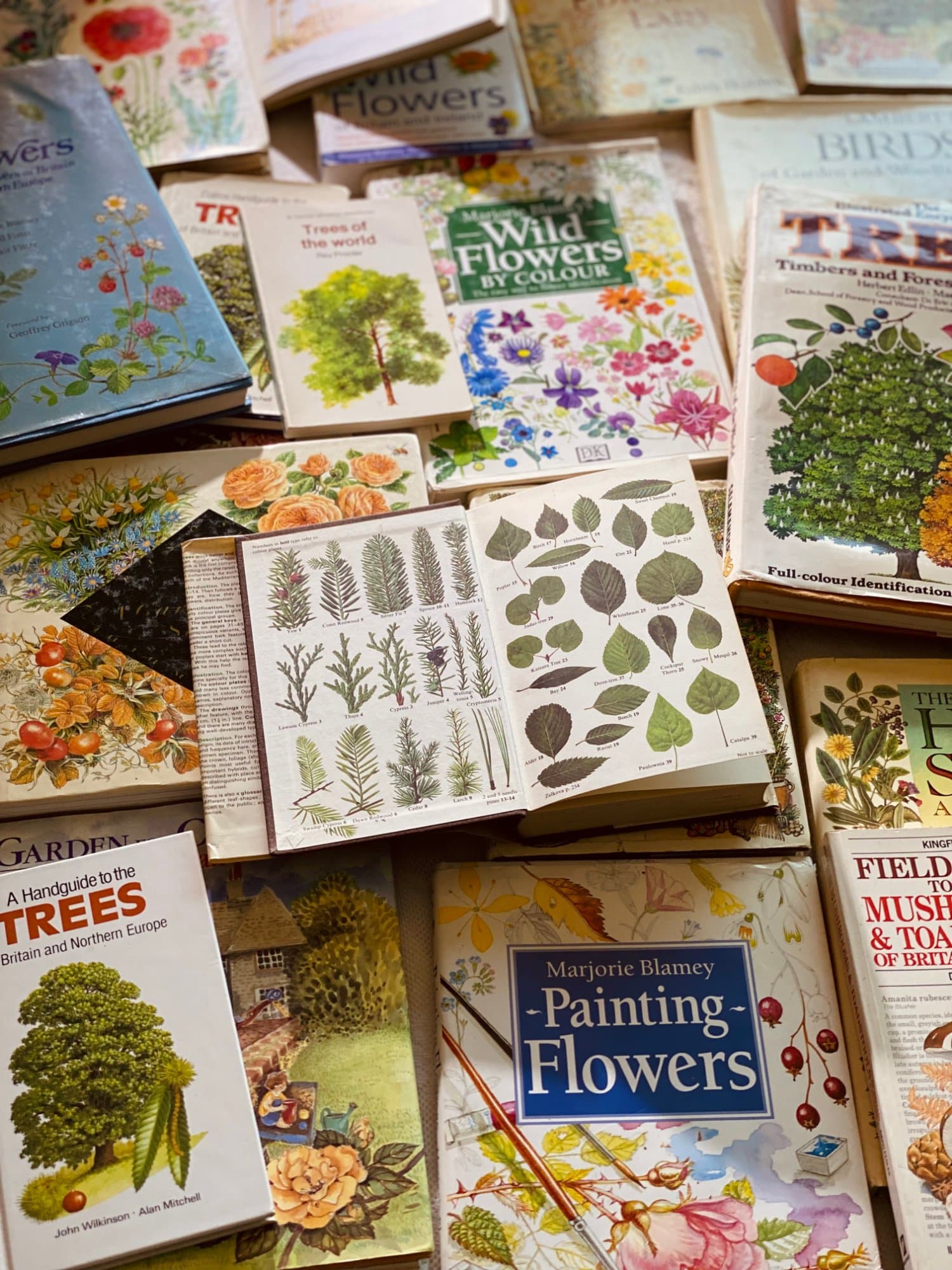 Flora - An Illustrated History