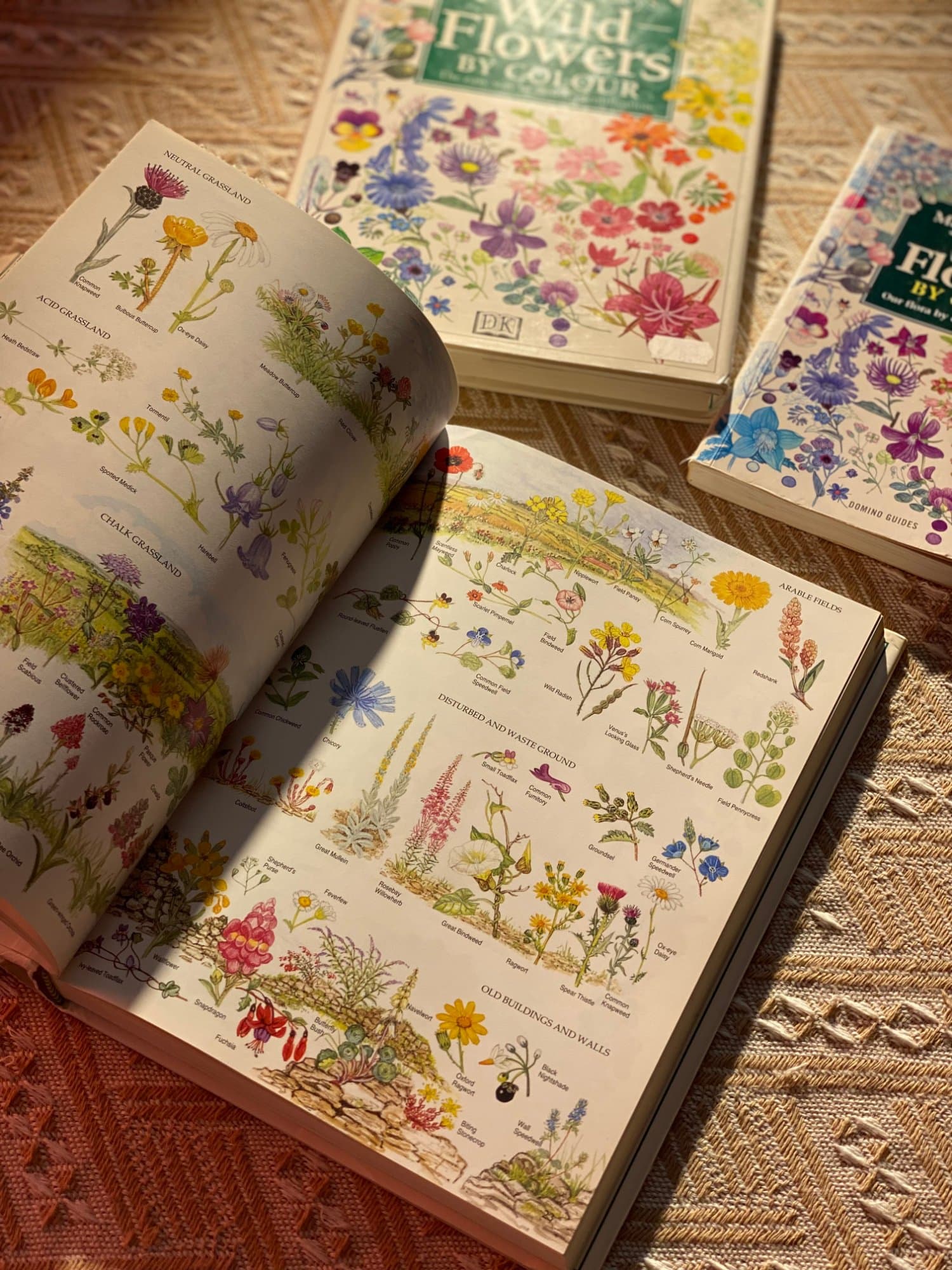 OBS Books collection