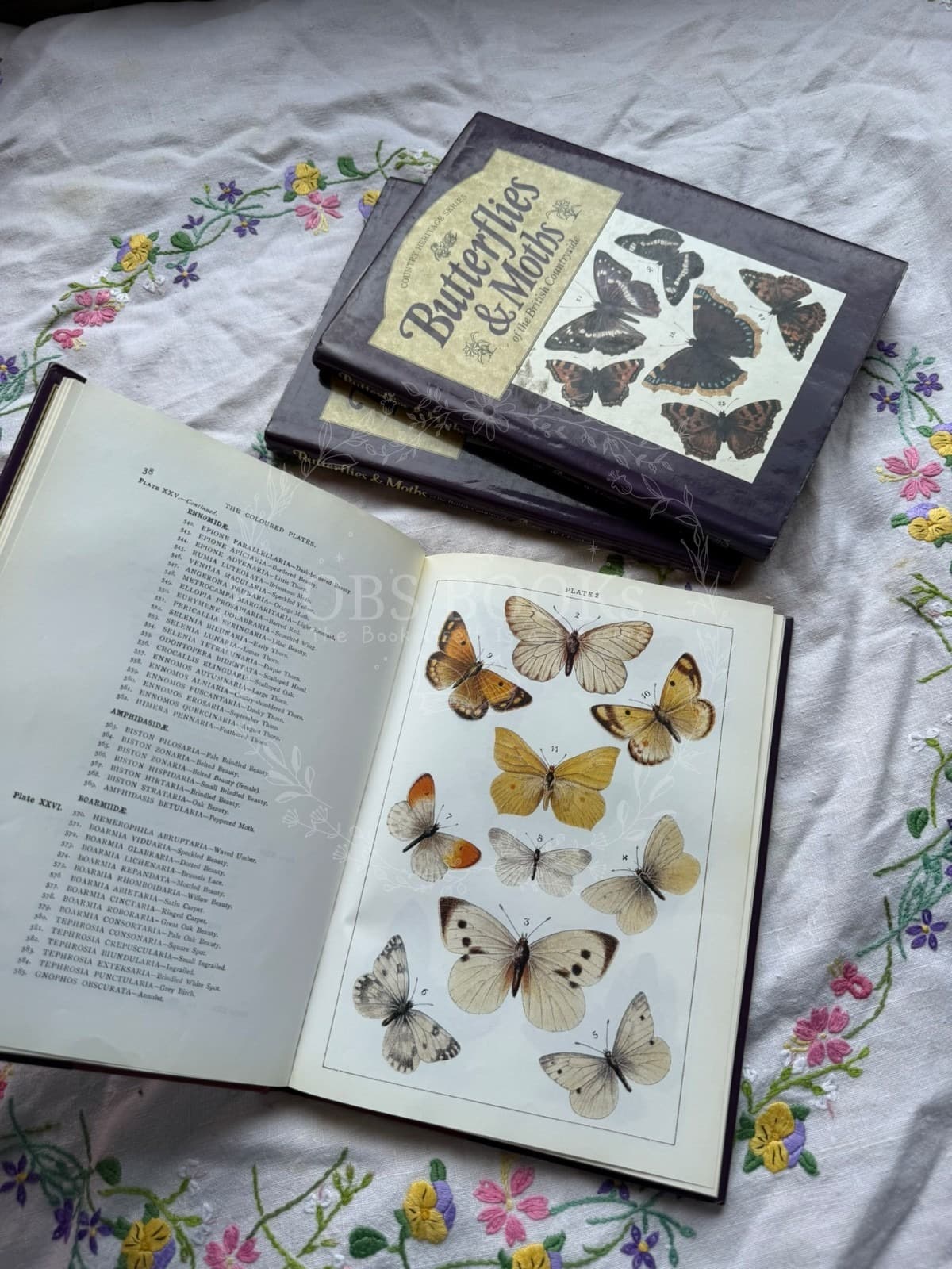 Butterflies and Moths of the Wayside and Woodland