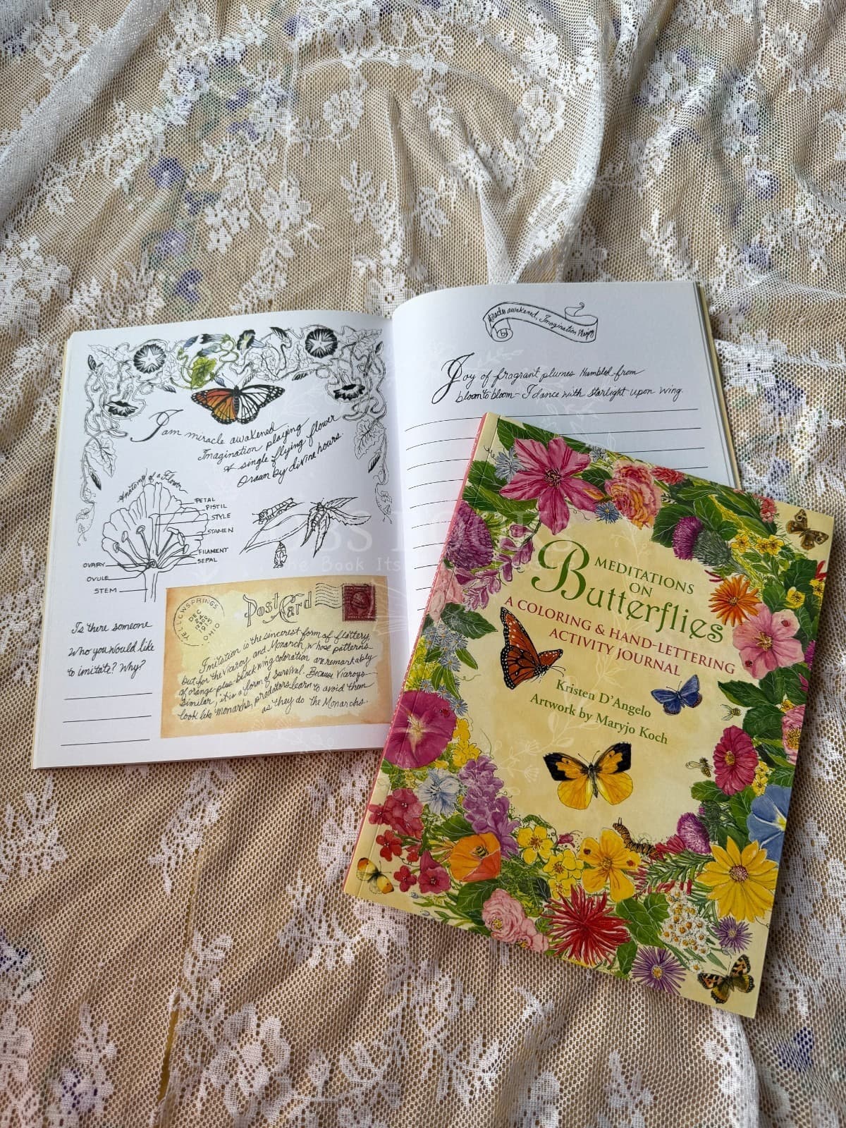 Meditations on Butterflies: A Coloring & Hand-Lettering Activity Journal
