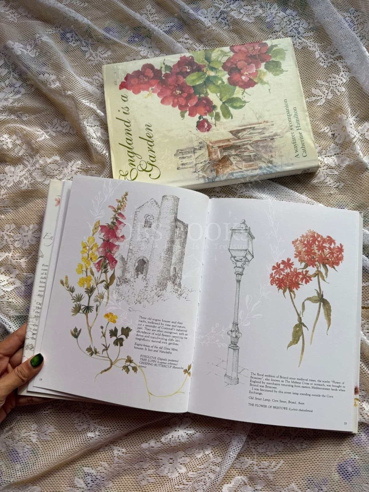 England Is a Garden: A Wayfarer's Companion