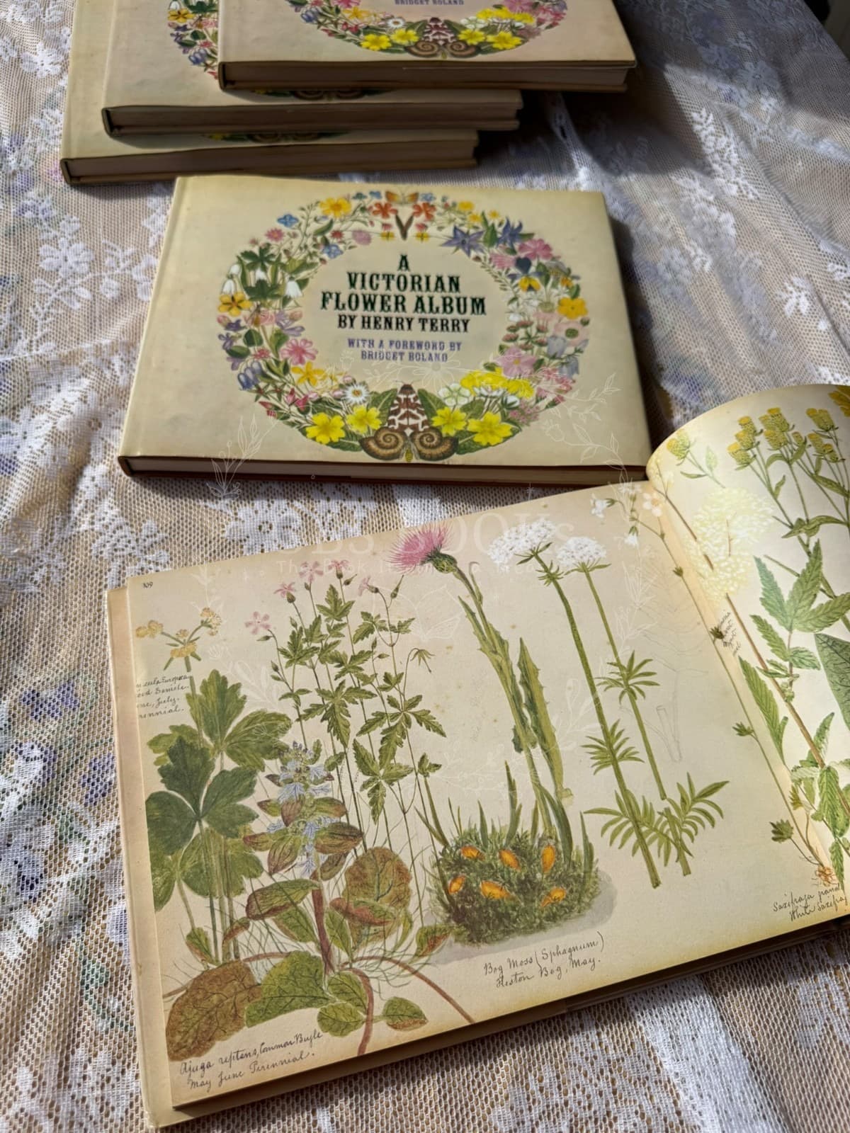 A Victorian Flower Album