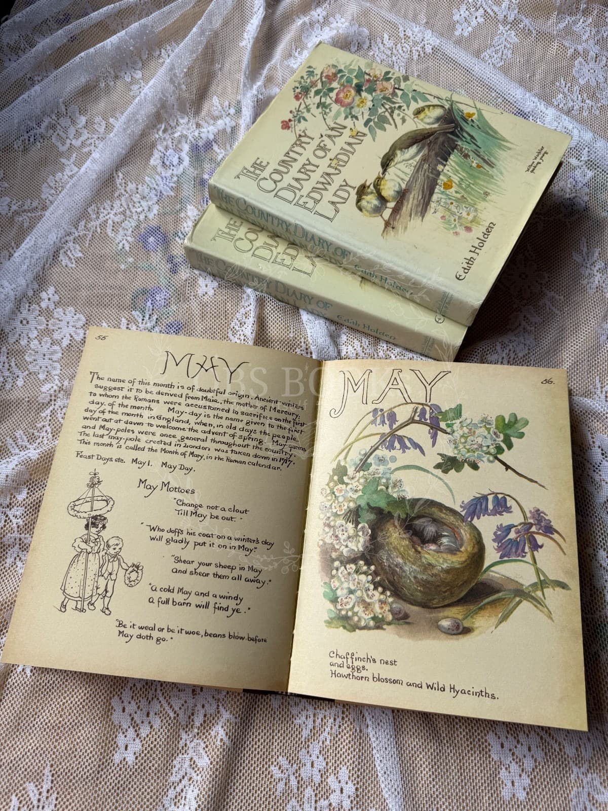 The Country Diary of an Edwardian Lady