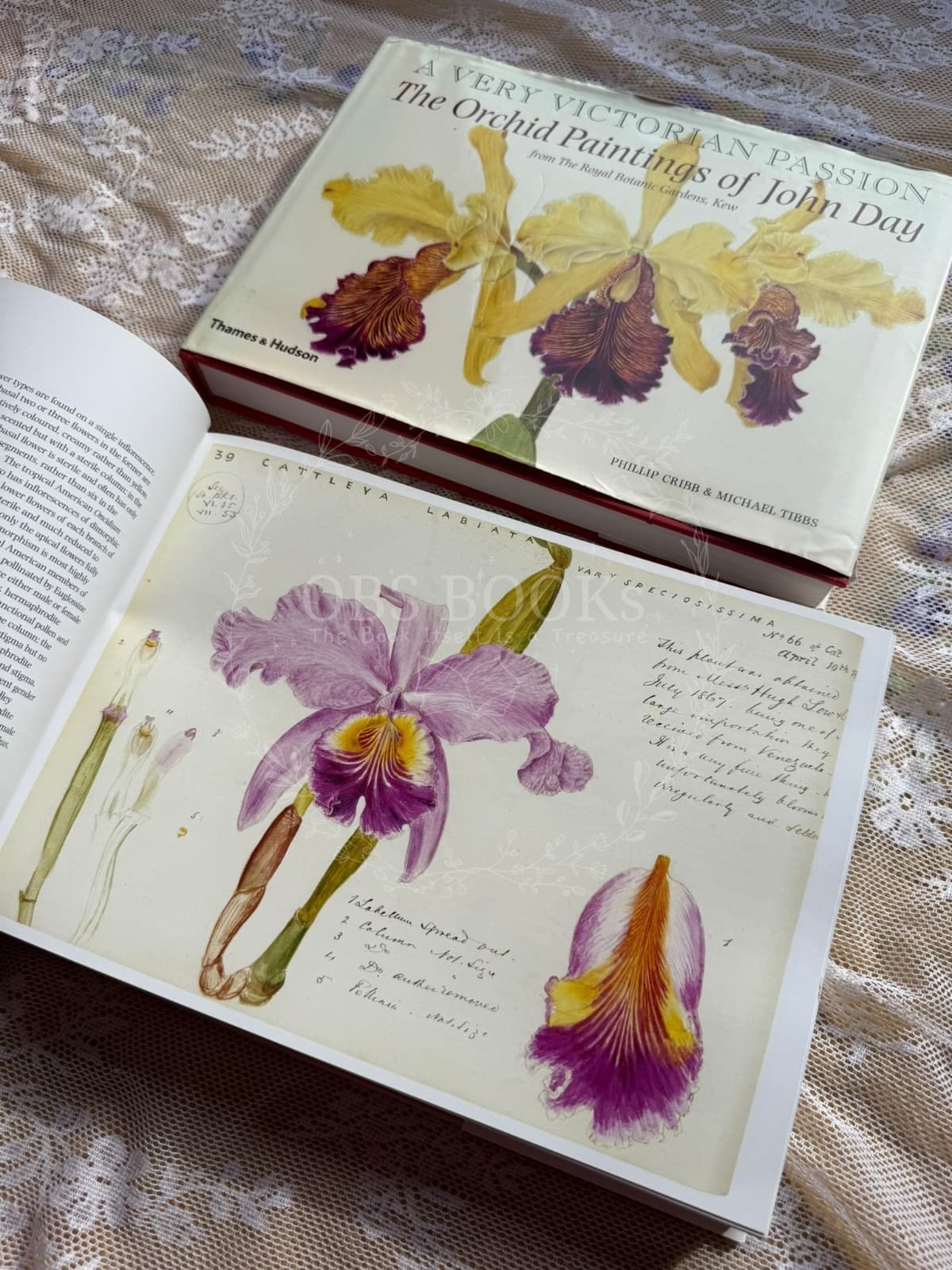 A Very Victorian Passion: The Orchid Paintings of John Day, 1863–1888