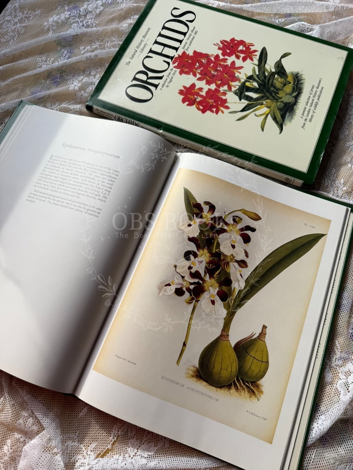 Orchids: The Natural History Museum Library