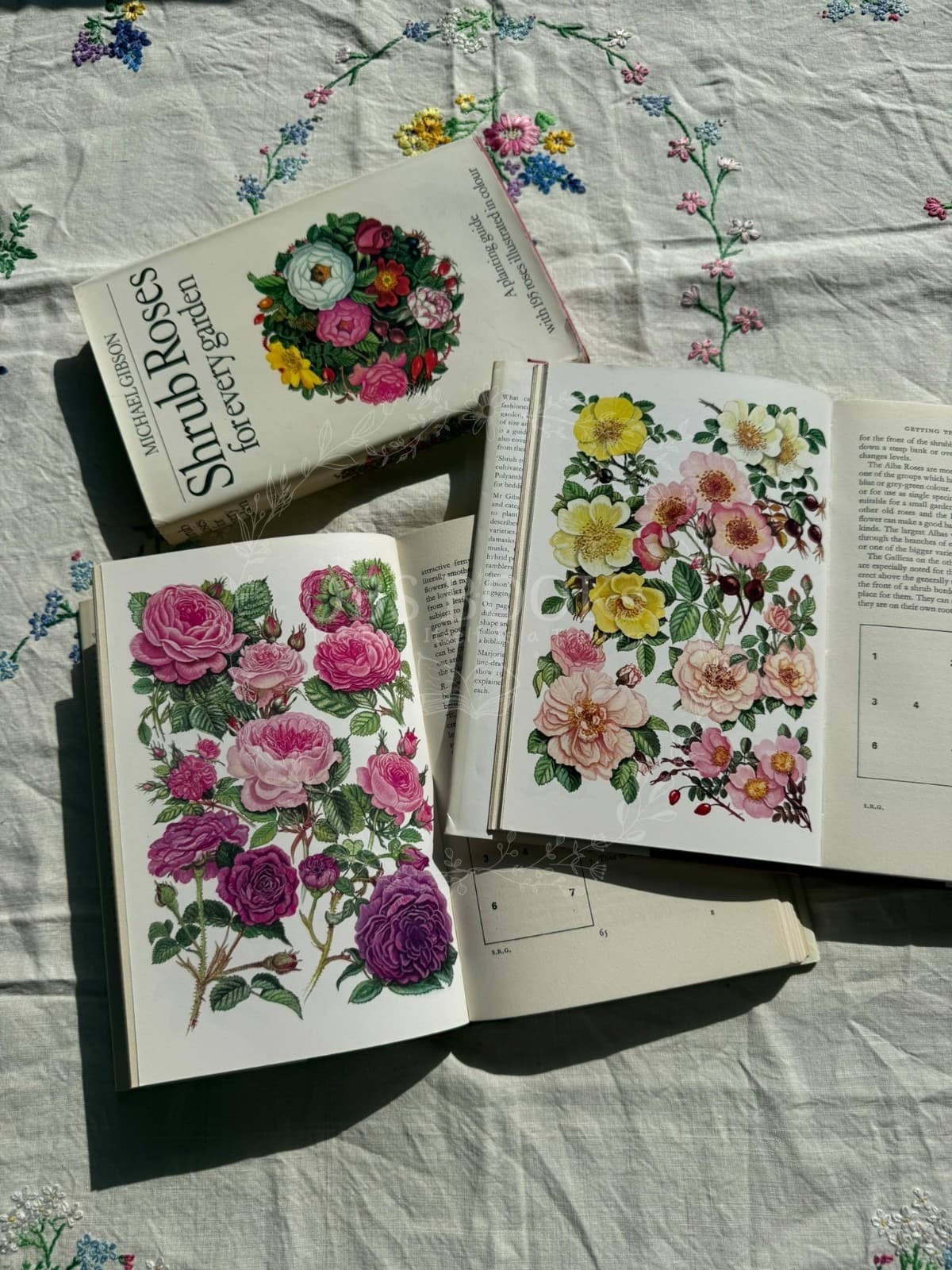 Shrub Roses for Every Garden