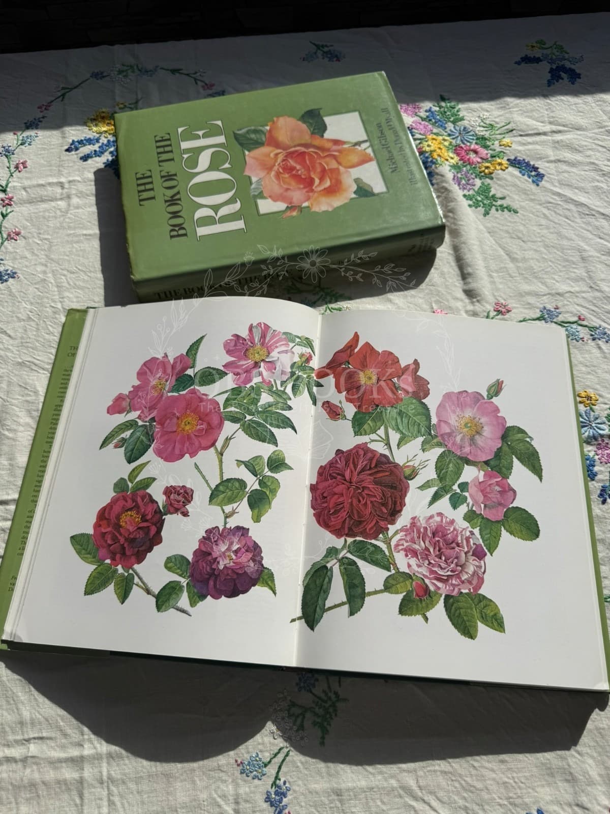 The Book of the Rose