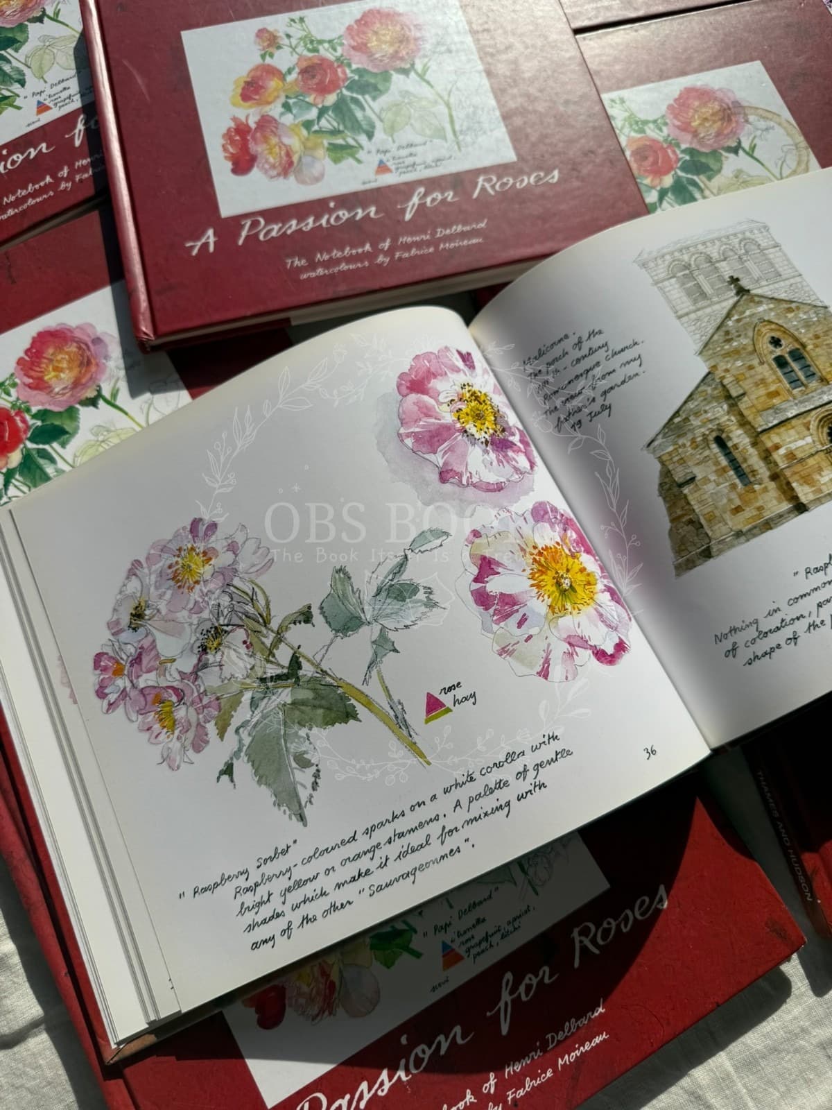 A Passion for Roses: The Notebook of Henri Delbard