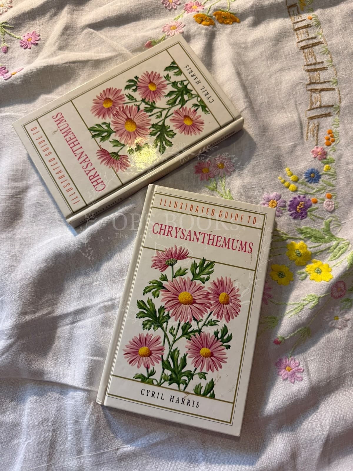 Illustrated Guide to Chrysanthemums