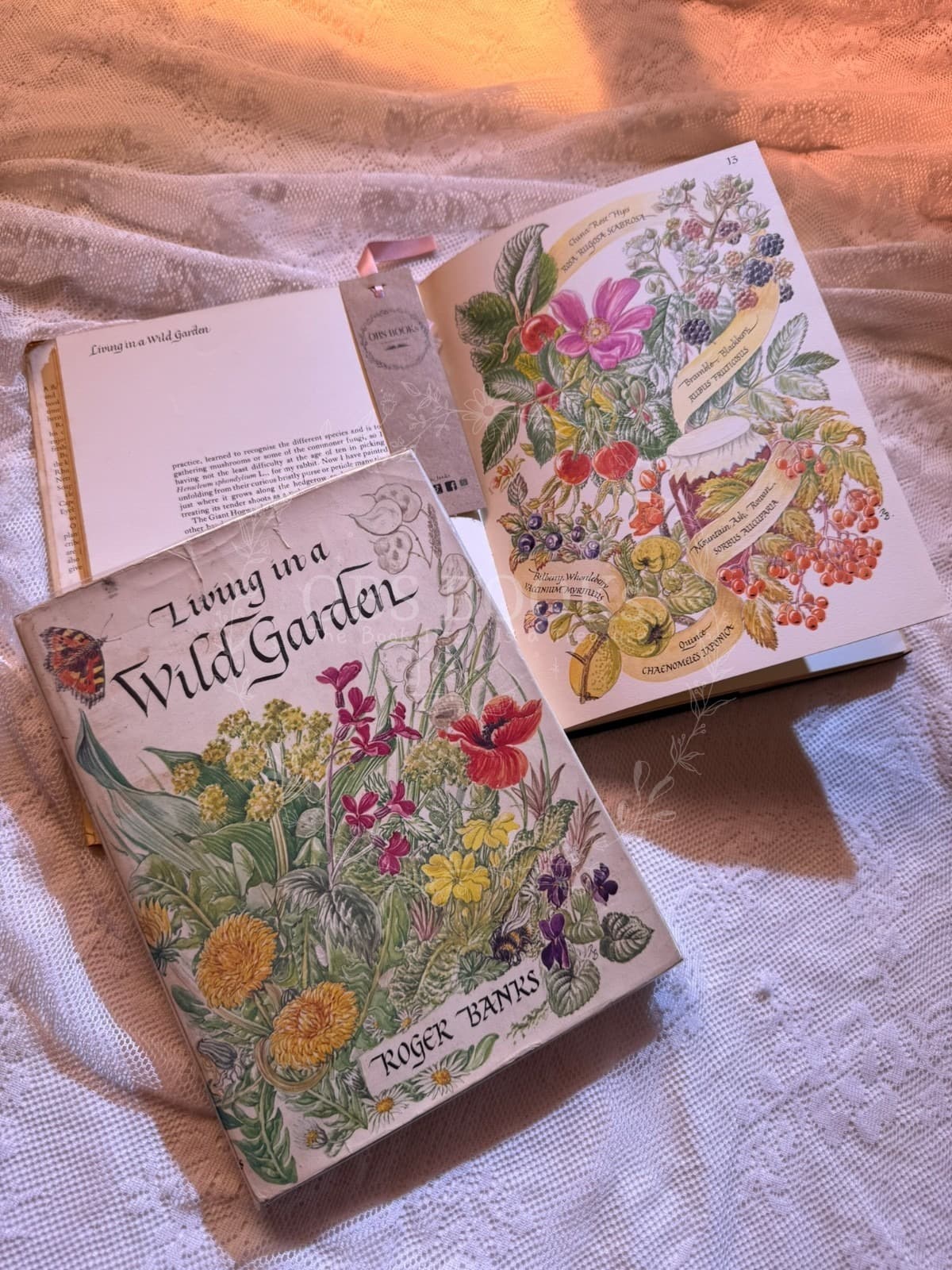 Living in a Wild Garden