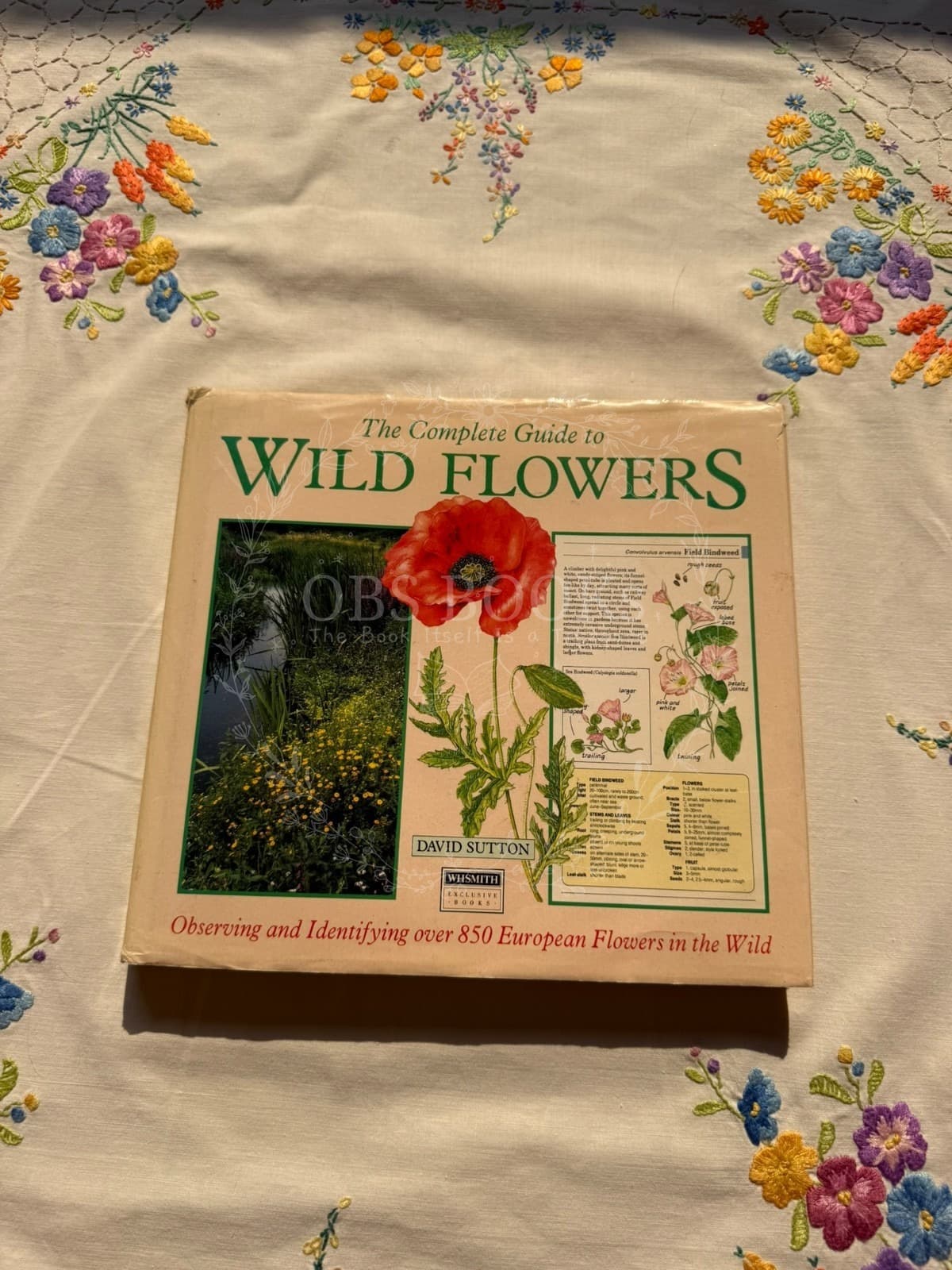 The Complete Guide to Wild Flowers