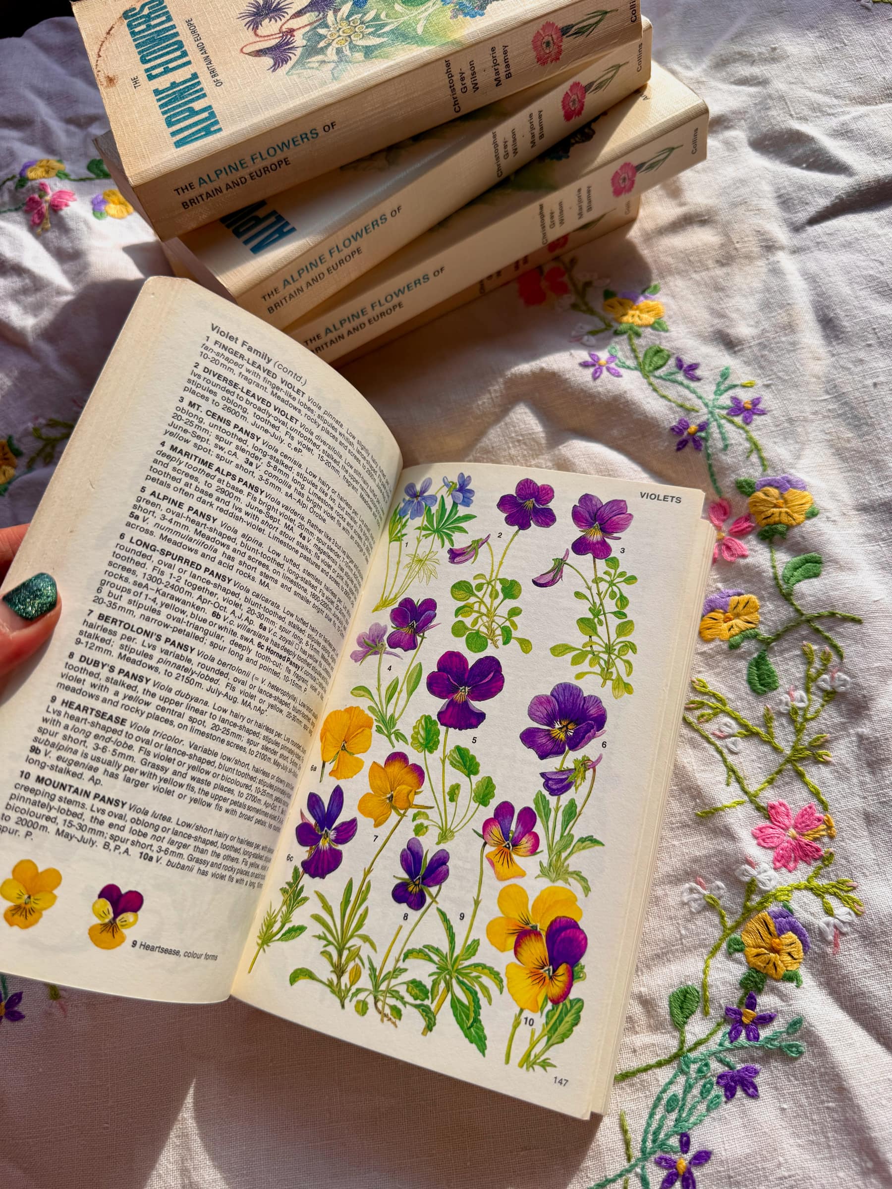 The Alpine Flowers of Britain and Europe — the book that started OBS Books