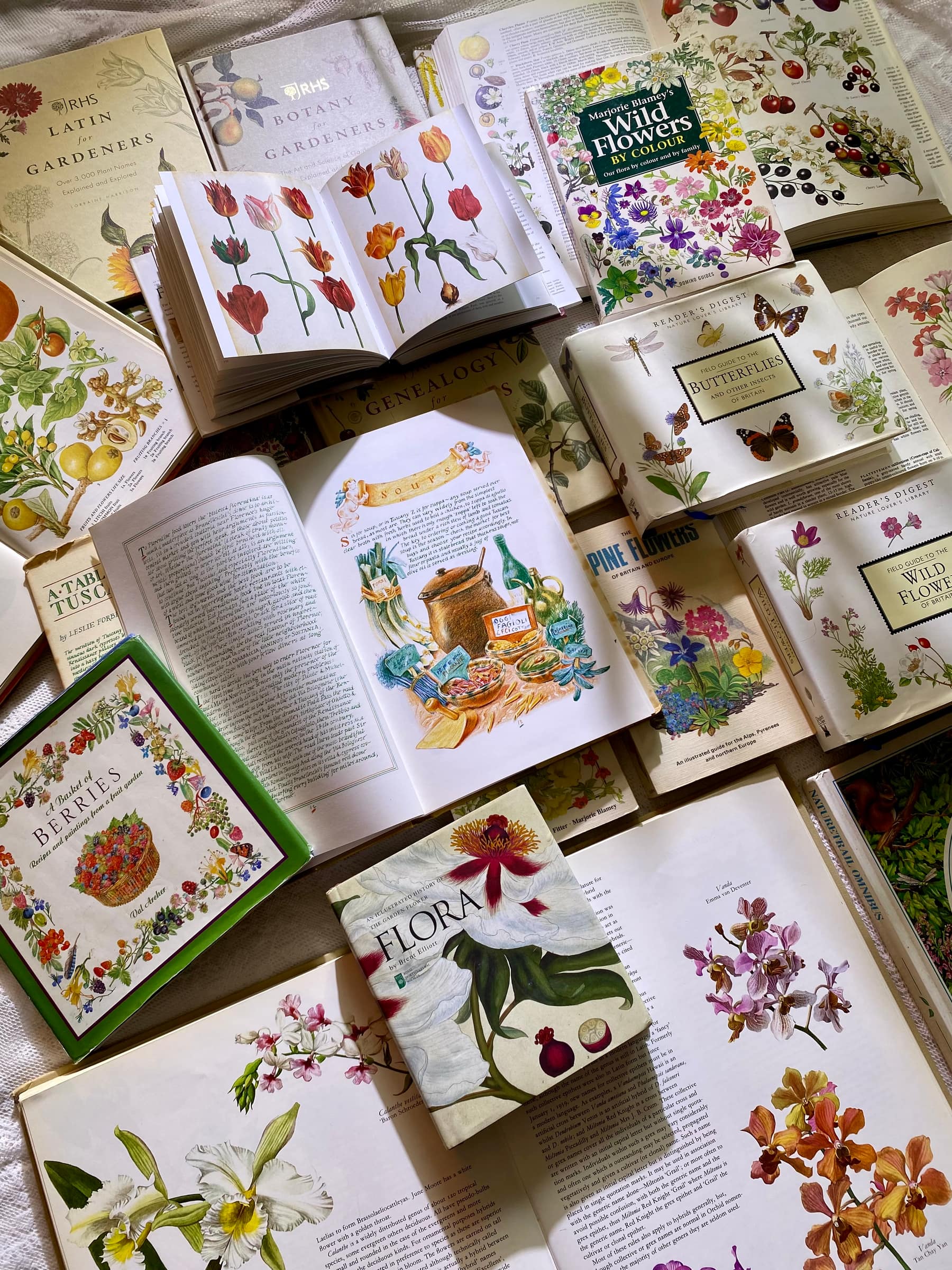 Sasi's book collection